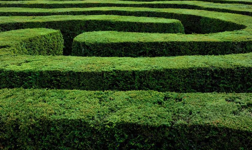 Hampton Court Maze (and other amazing mazes)