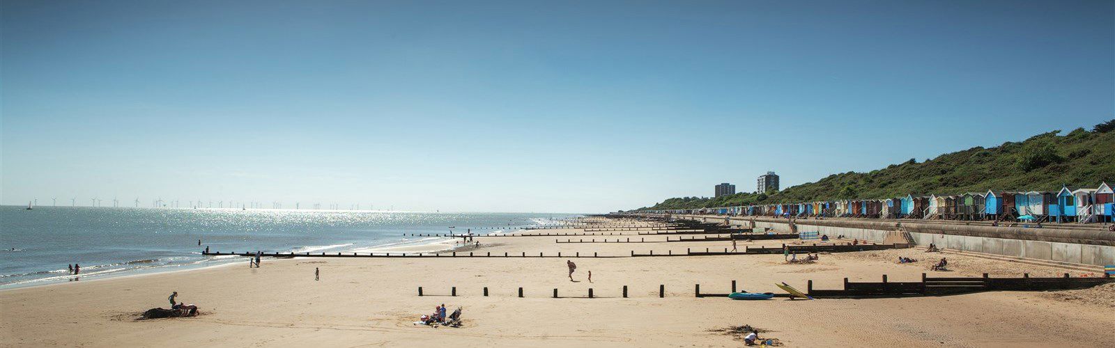 What Beaches In Essex Allow Dogs