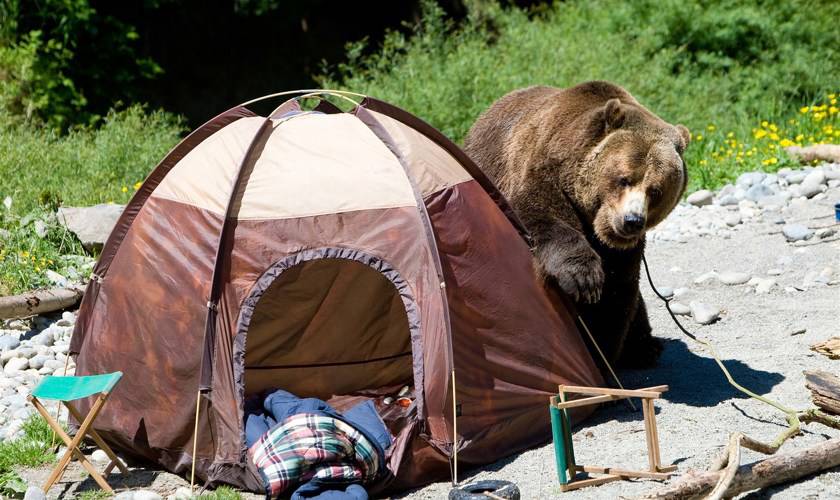 The risks associated with wild camping