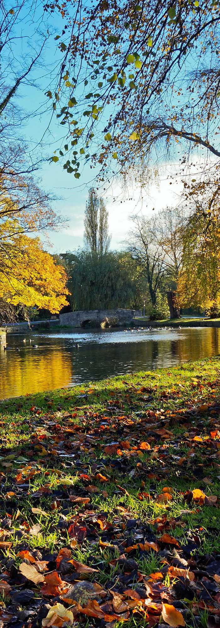 Campsites for sale near Thetford Forest