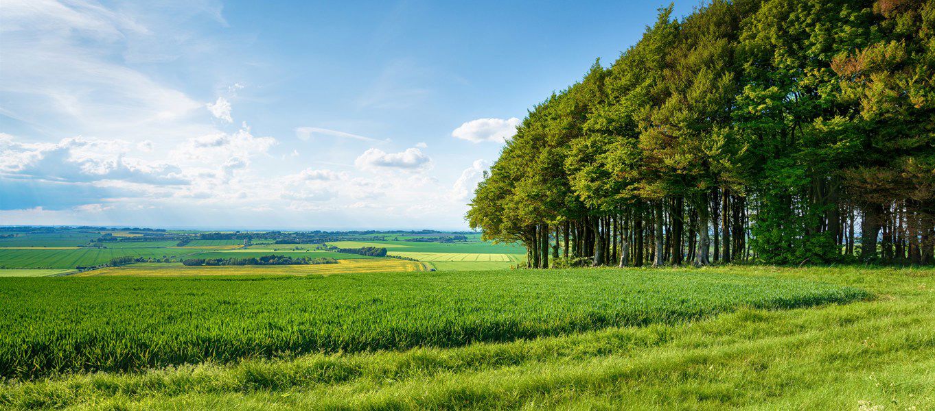 Campsites On The North Wessex Downs Best Camping On The North Wessex Downs