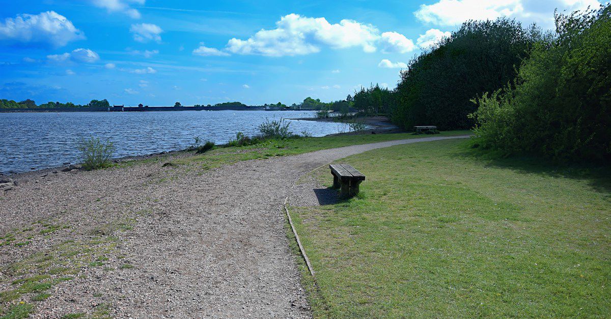 6 campsites in Cannock Chase Best camping in Cannock Chase