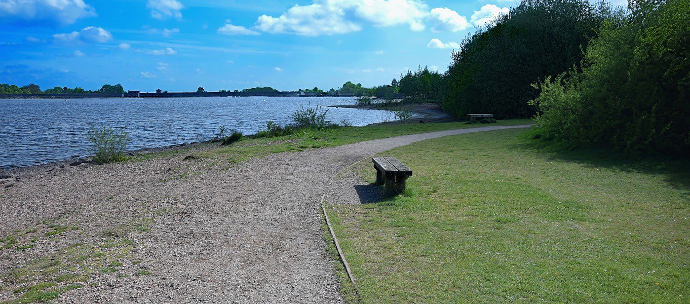 6 campsites in Cannock Chase Best camping in Cannock Chase