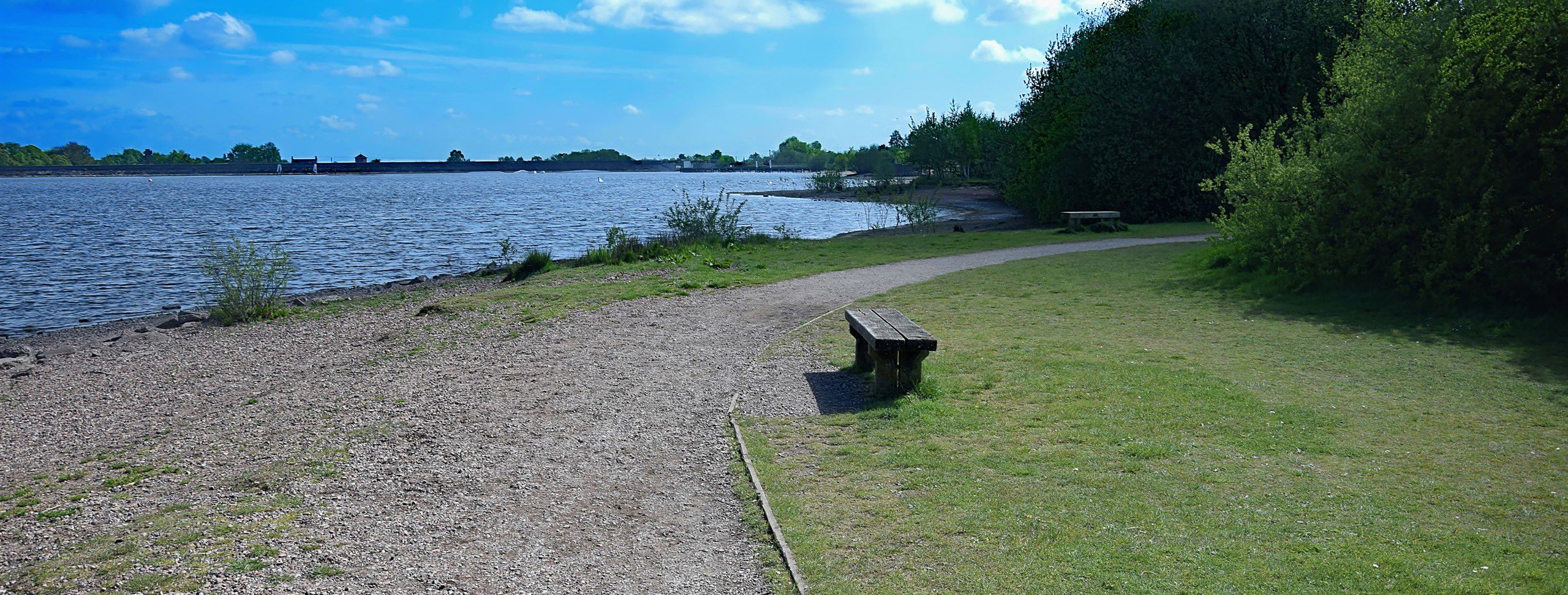 6 campsites in Cannock Chase Best camping in Cannock Chase