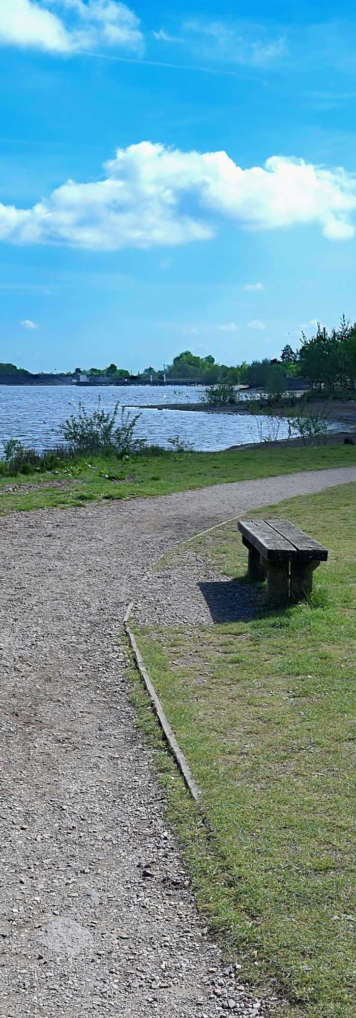 6 campsites in Cannock Chase Best camping in Cannock Chase