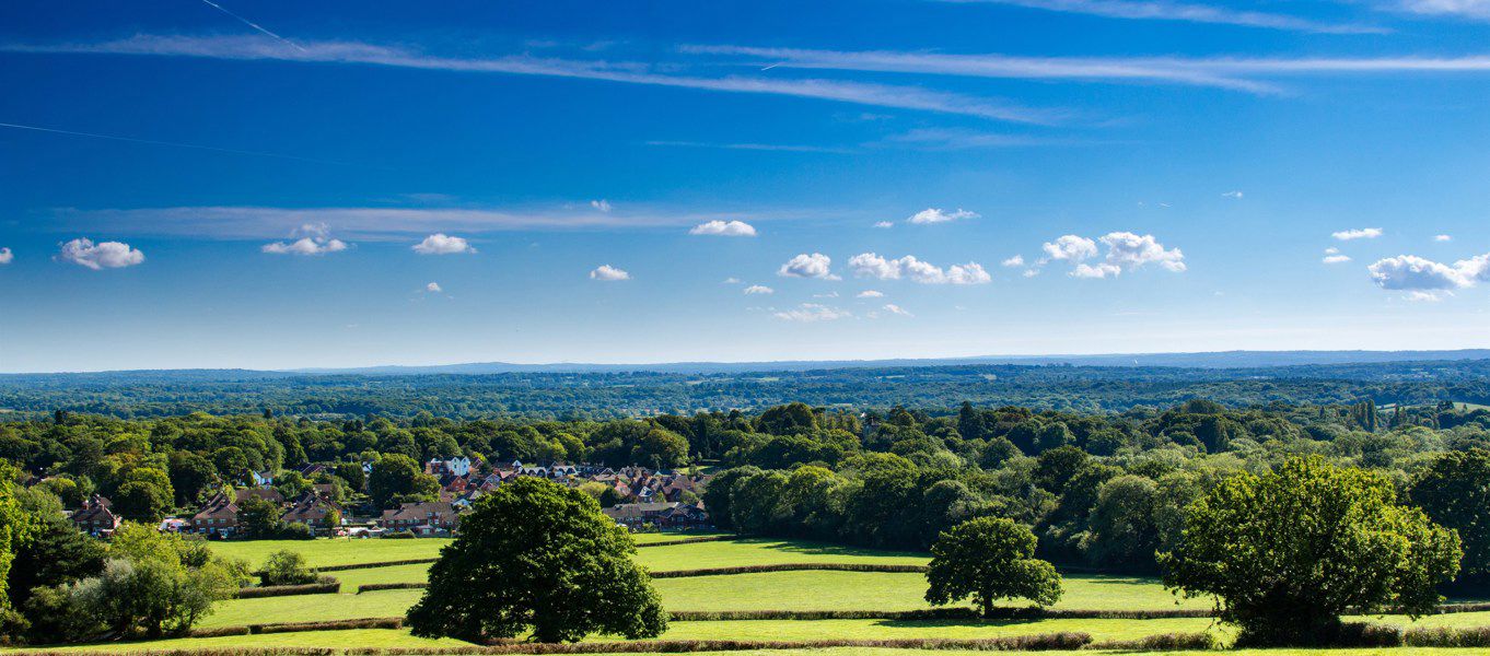 Campsites Near The Surrey Hills Best Camping Near The Surrey Hills