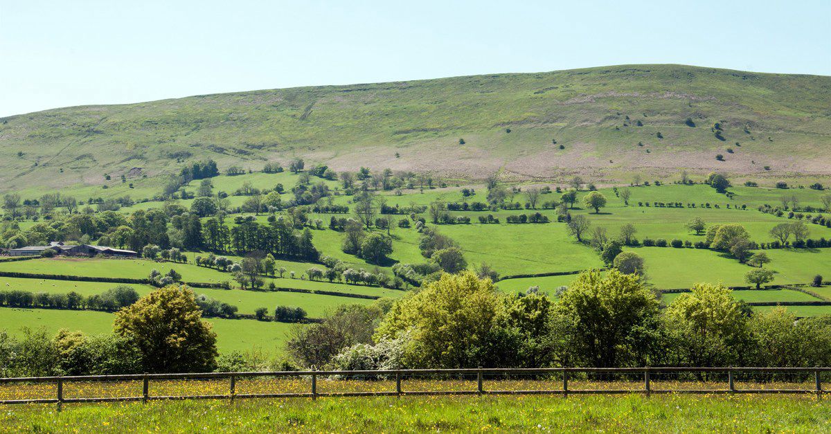 40+ campsites near the Black Mountains Best camping near the Black