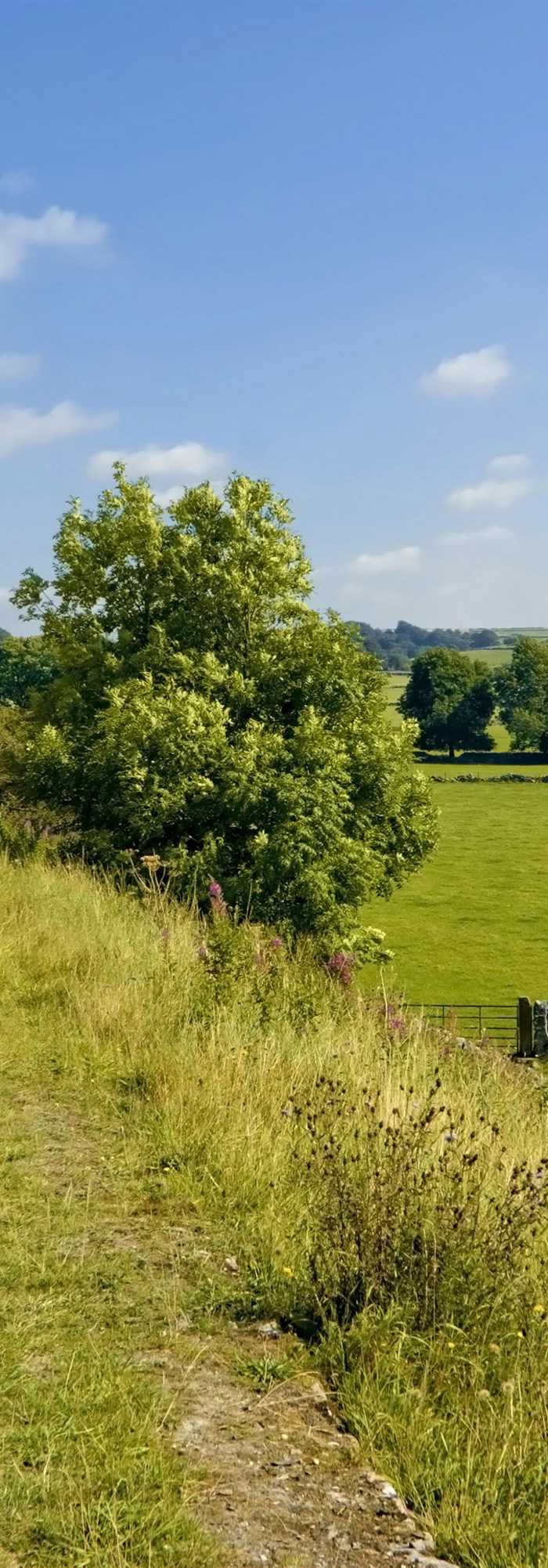 Tissington trail clearance camping