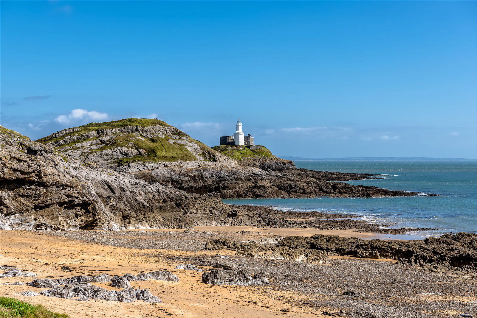 what beaches can dogs go on in swansea