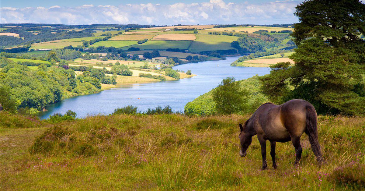 Campsites In Exmoor The Best Camping In Exmoor National Park