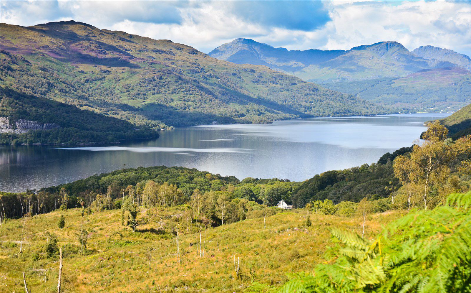 Dog friendly best sale loch lomond