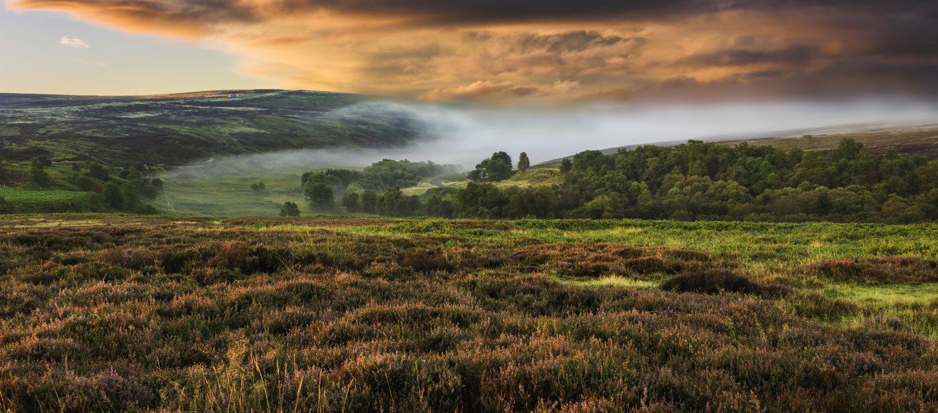 Campsites On The North York Moors Best Camping On The North York Moors