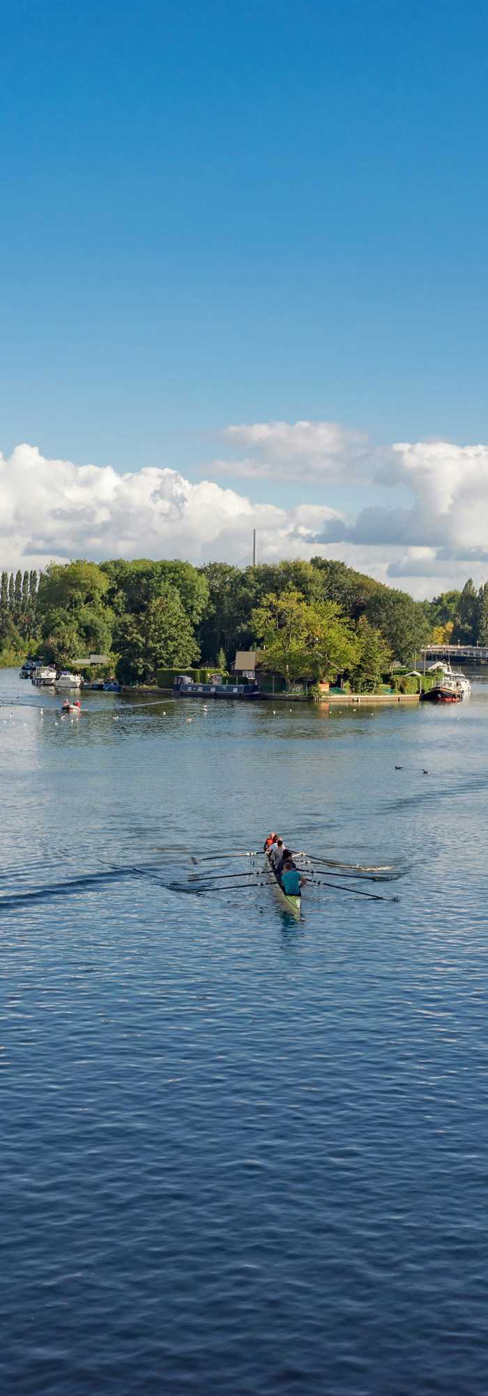 10+ Reading campsites Best camping in Reading, Berkshire