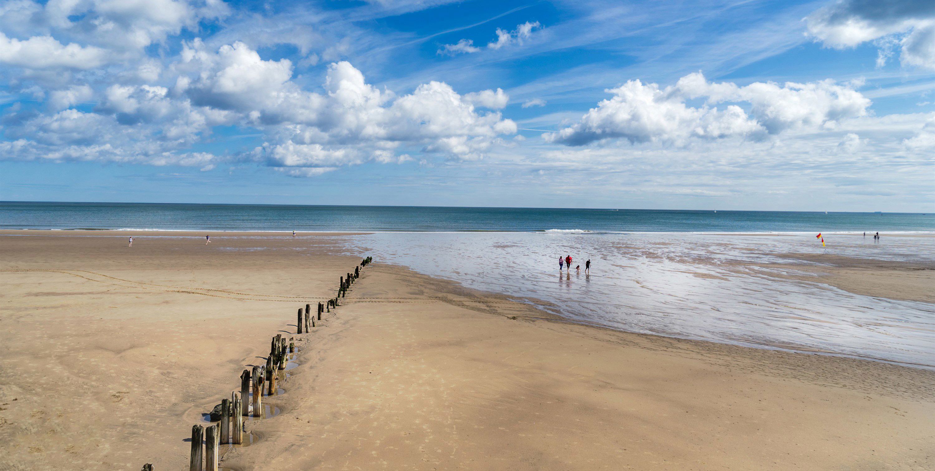 can you take dogs on sandsend beach