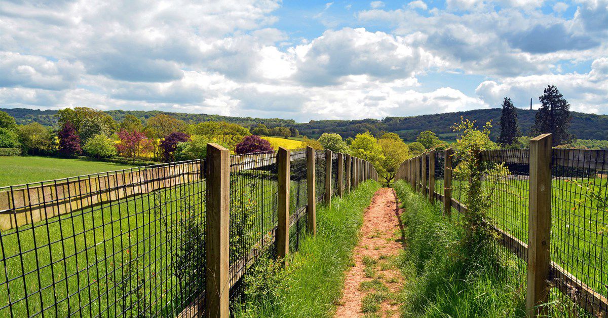 25+ Wellington campsites Best camping in Wellington, Somerset