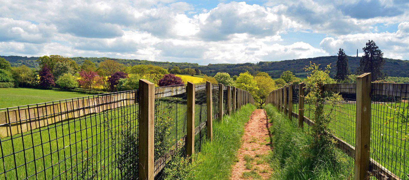 Wellington campsites Best camping in Wellington, Somerset