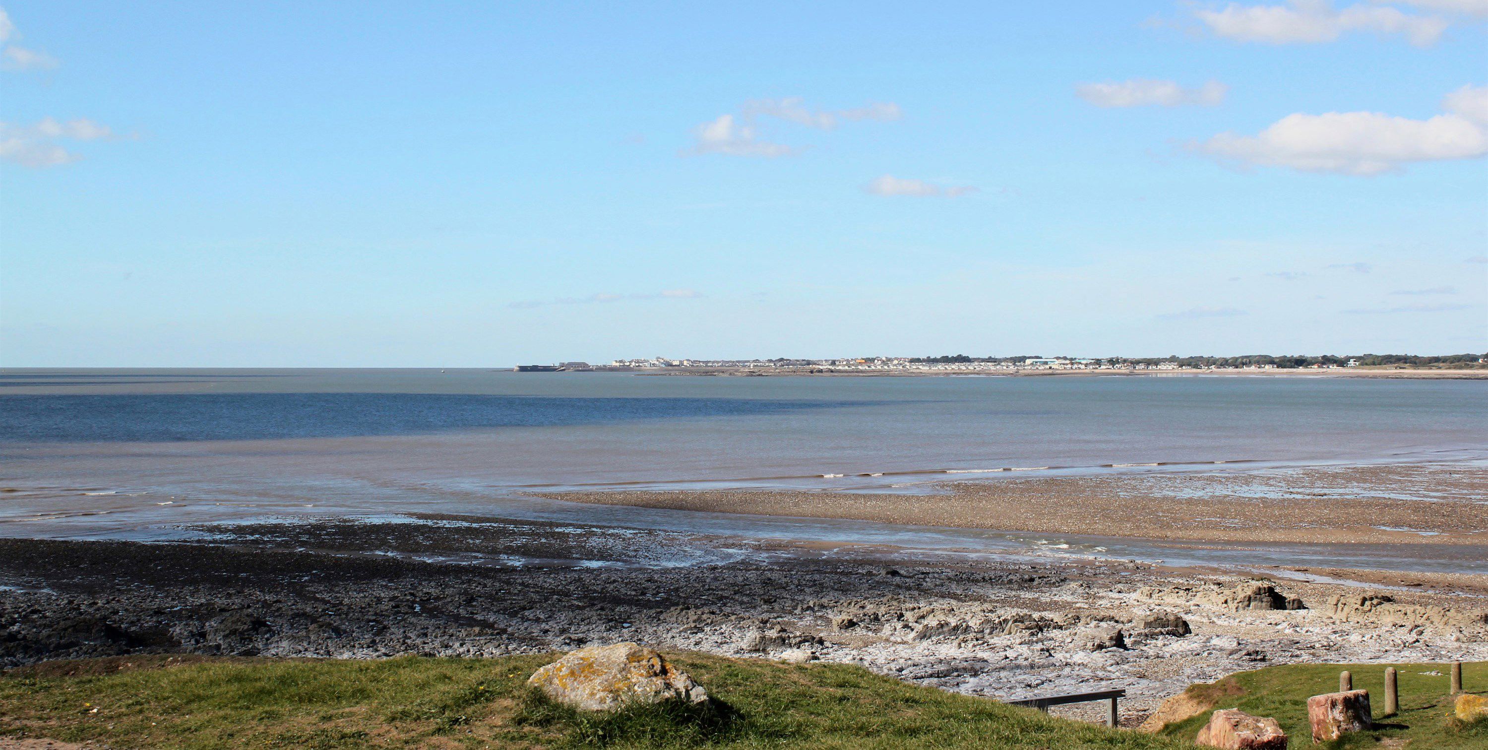 can you take dogs to ogmore beach