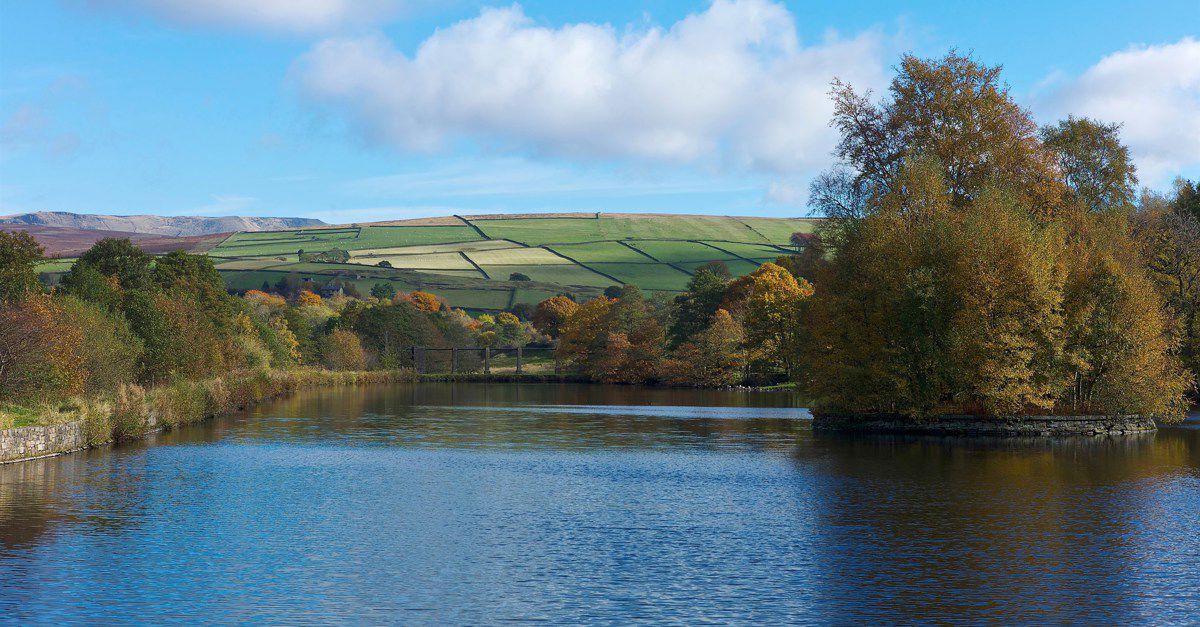 20+ Hayfield campsites Best camping in Hayfield, Derbyshire & Peak