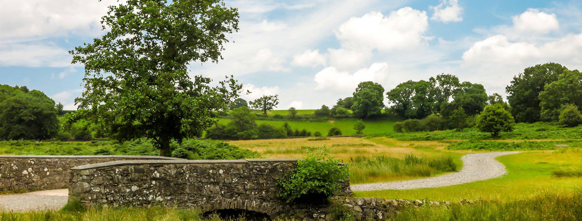 Campsites with electric hook up in Glenfield, Leicestershire