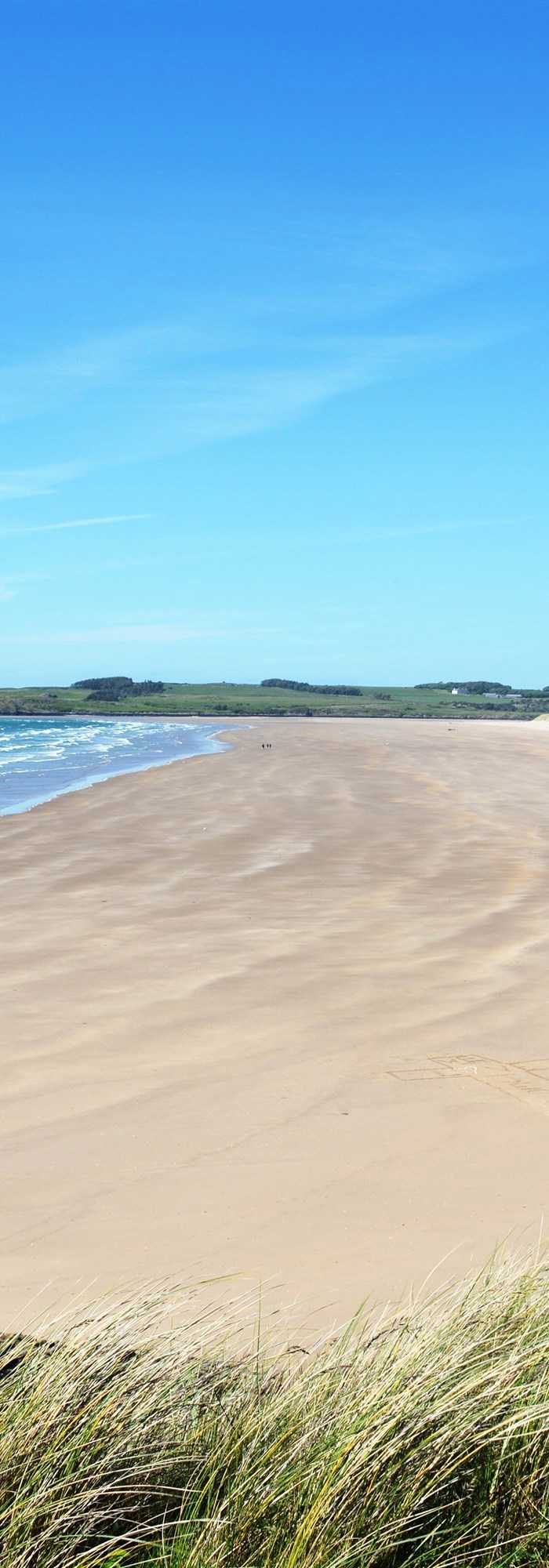 45+ campsites in Newborough (Niwbwrch)