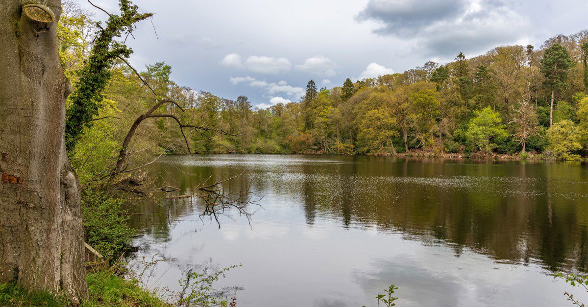 25+ Ellesmere campsites Best camping in Ellesmere, Shropshire