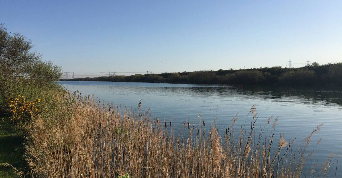 15+ Lydd campsites Best sites for camping in Lydd, Kent