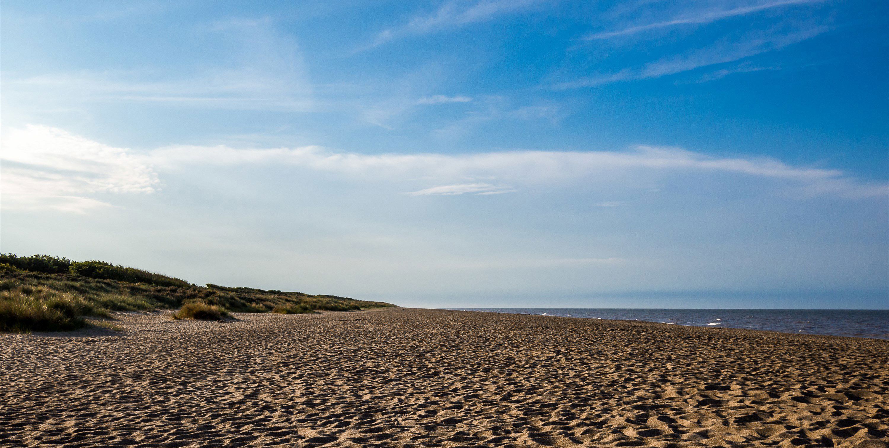 are dogs allowed on anderby creek beach