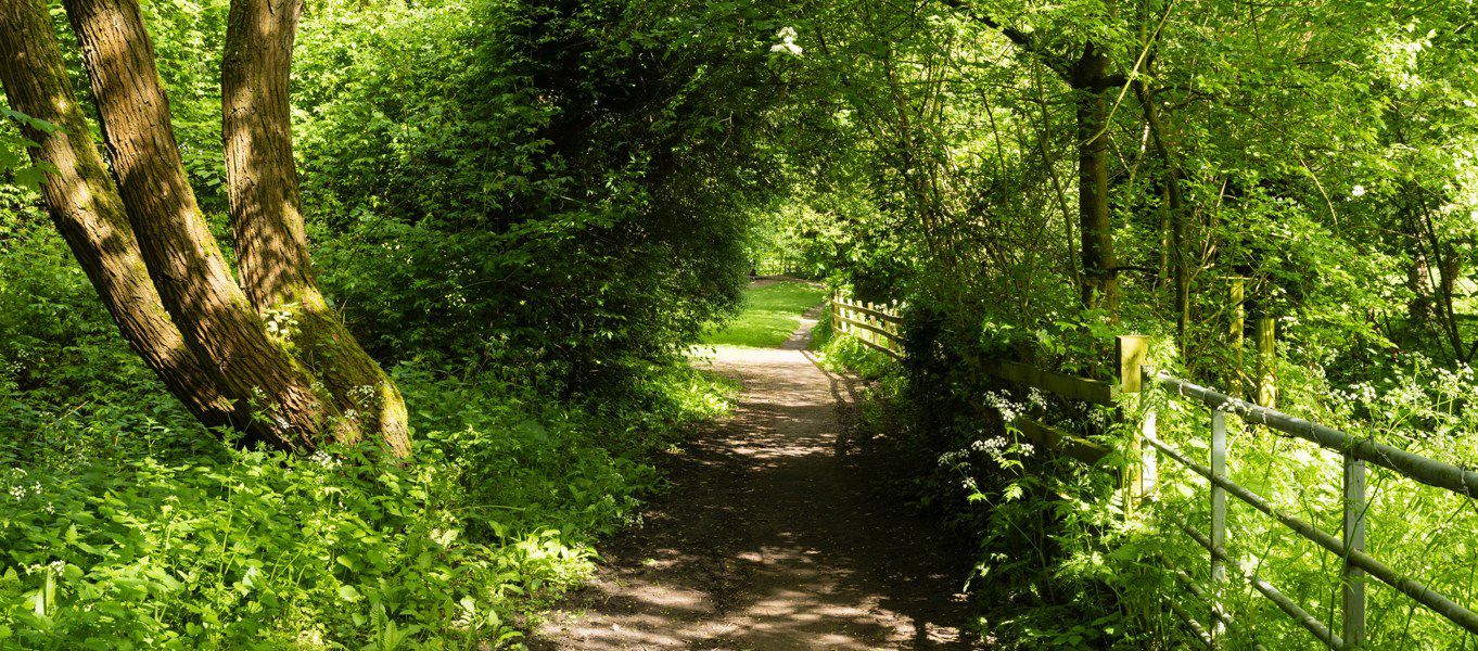 10 Wellesbourne Campsites Best Camping In Wellesbourne Warwickshire