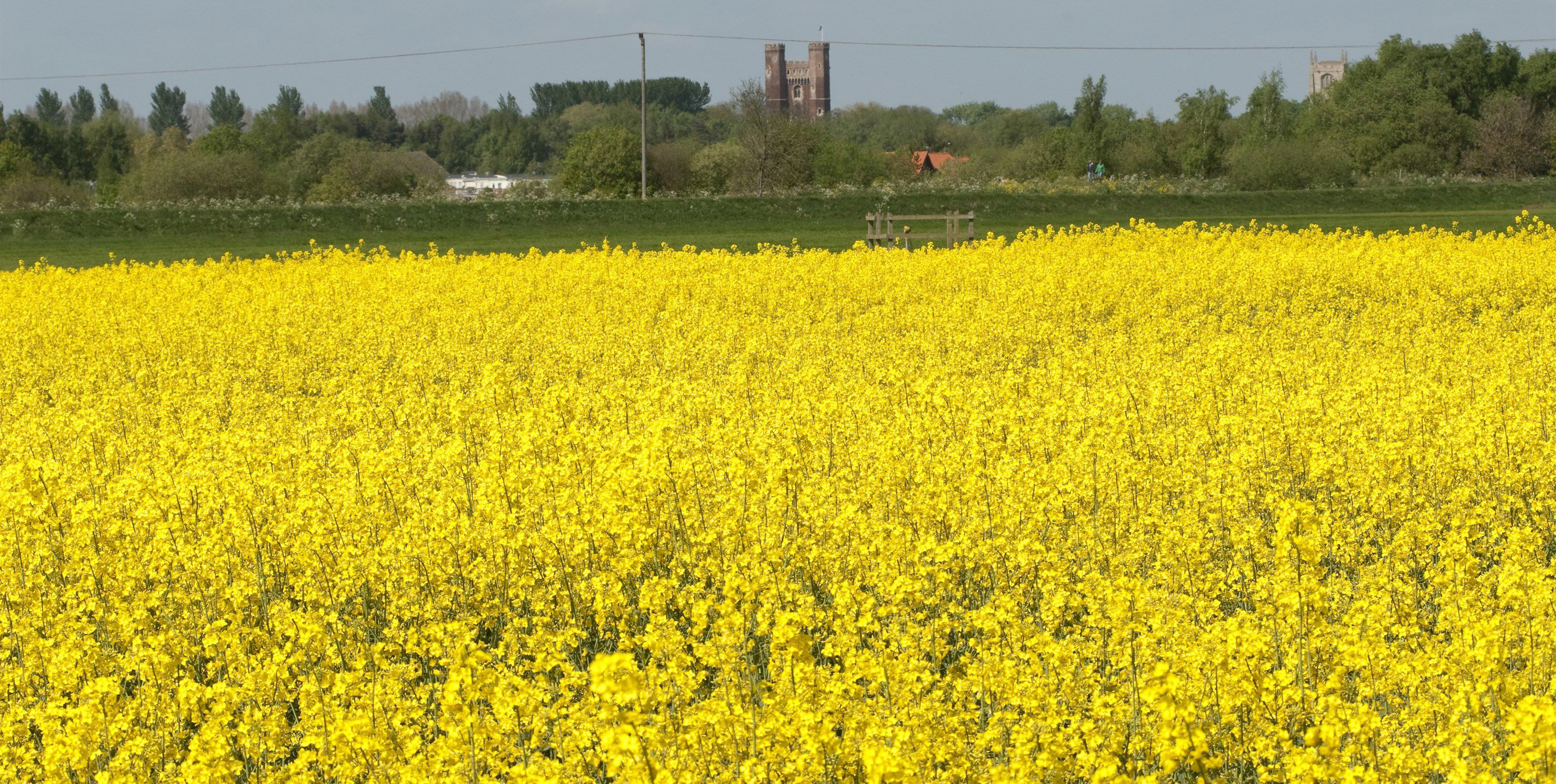 20+ Coningsby campsites Best camping in Coningsby, Lincolnshire