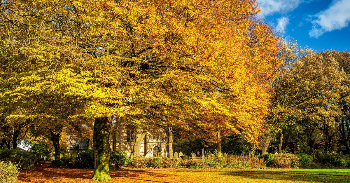 4 Prestwich campsites Best camping in Prestwich, Lancashire