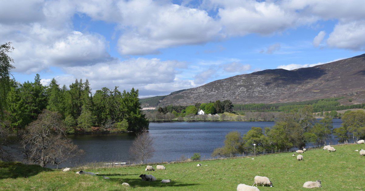 Alvie Campsites Best Sites For Camping In Alvie Highlands