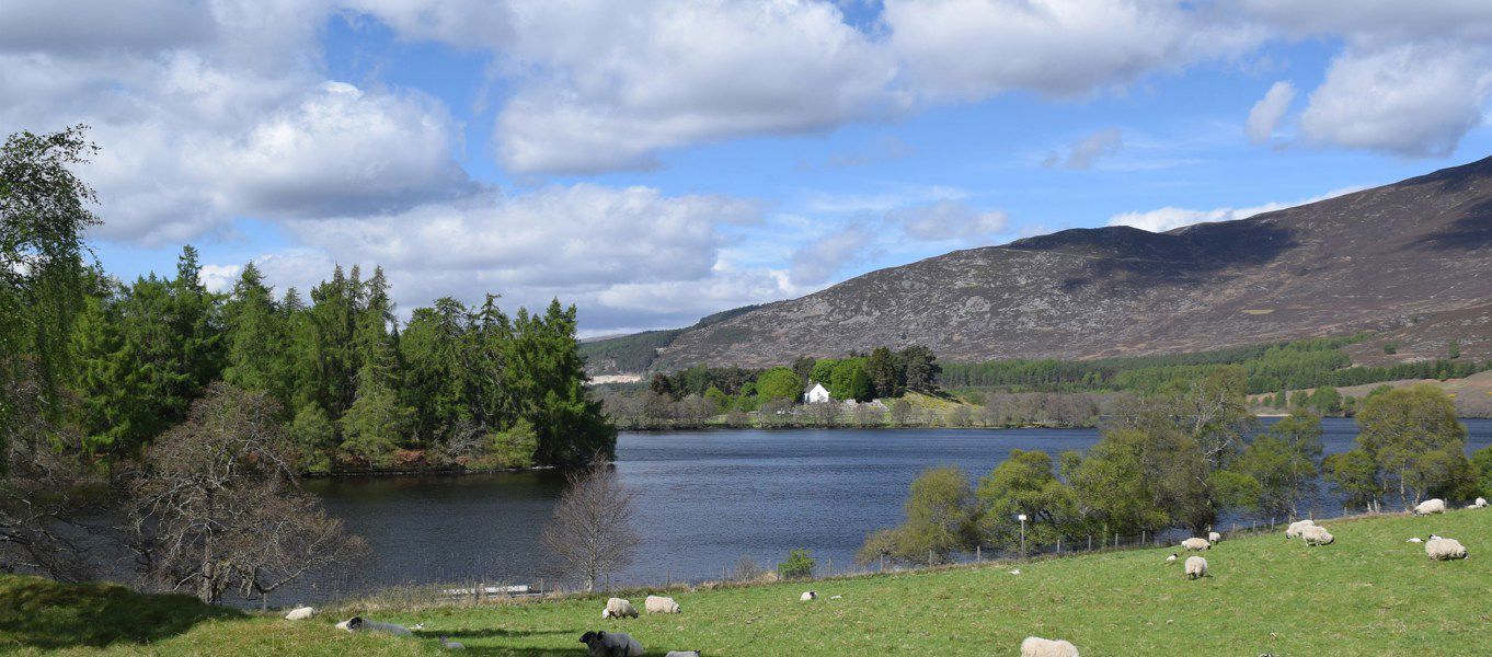 Alvie Campsites Best Sites For Camping In Alvie Highlands