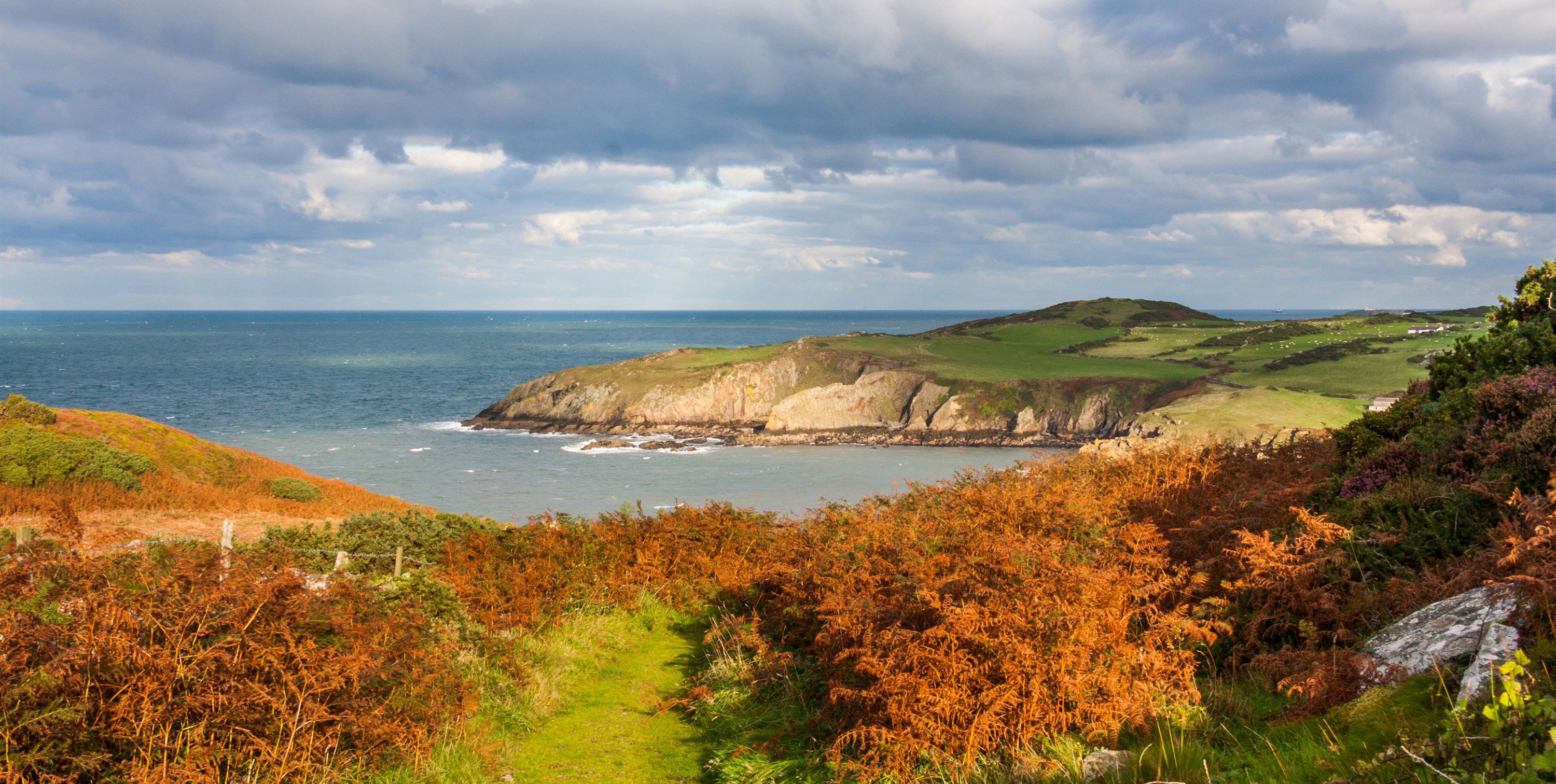 Campsites with electric hook up in Llanbadrig, Anglesey