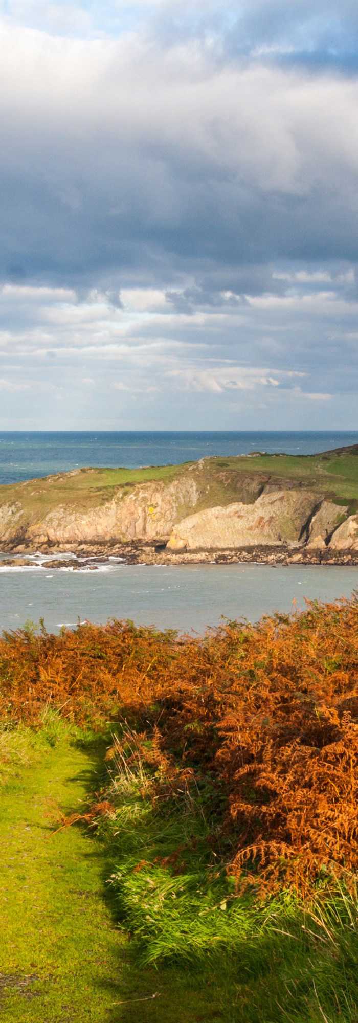 Campsites with electric hook up in Llanbadrig, Anglesey