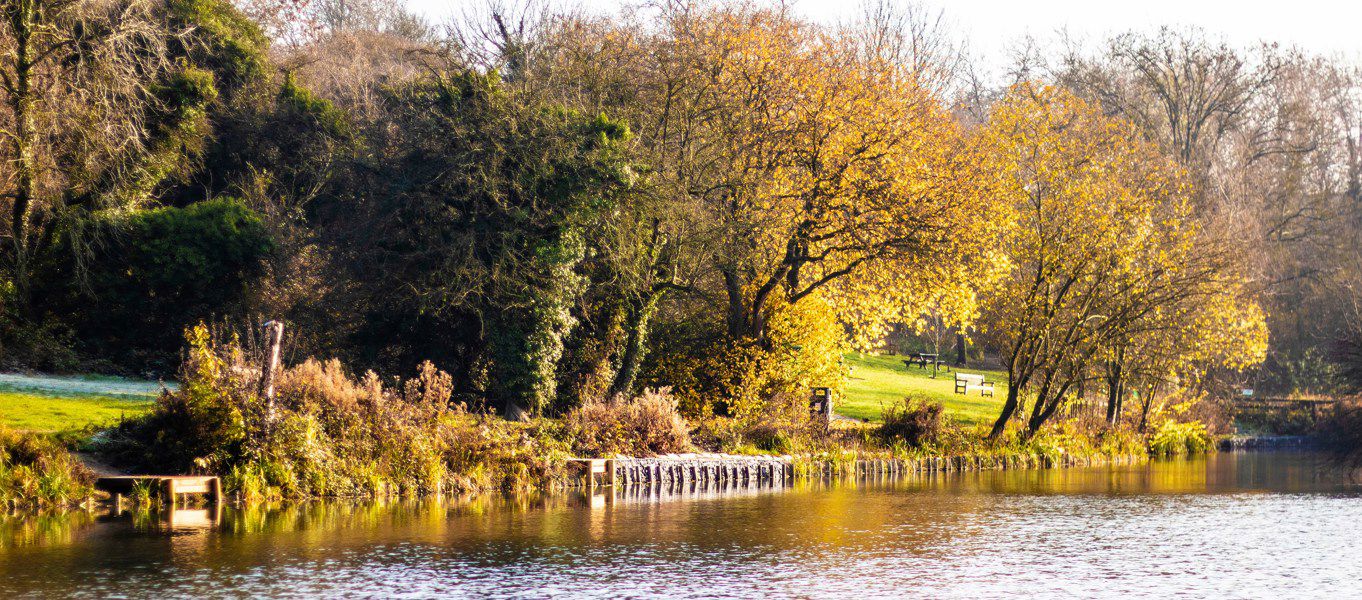 Royal Wootton Bassett campsites Best camping in Royal Wootton Bassett