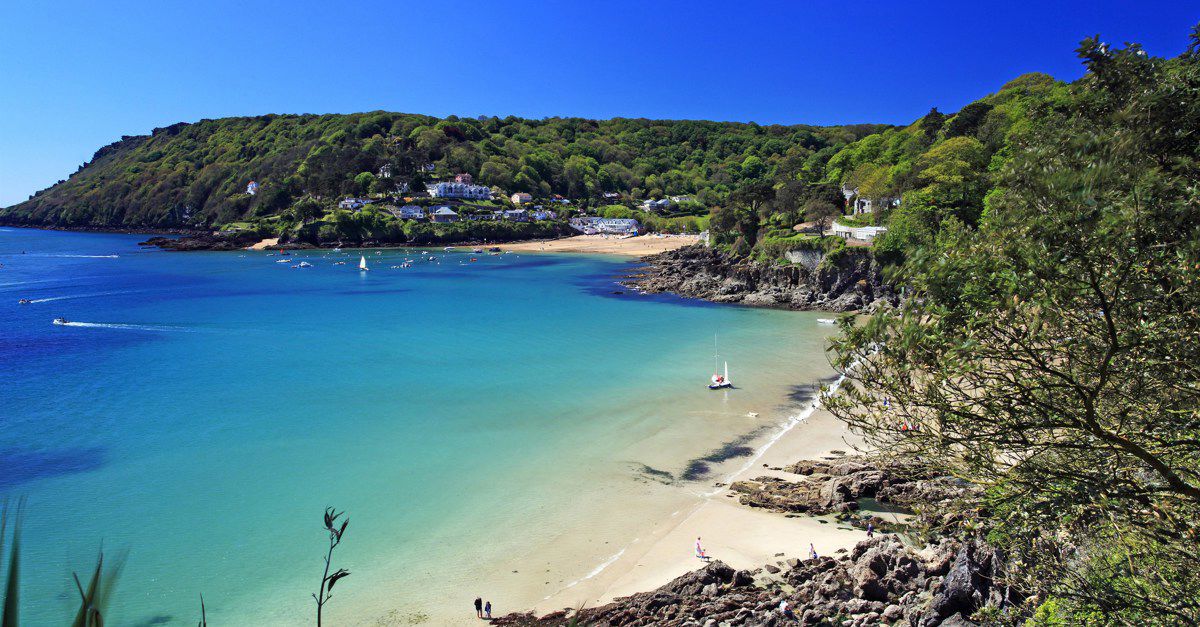 40+ Salcombe campsites | Best camping in Salcombe, Devon