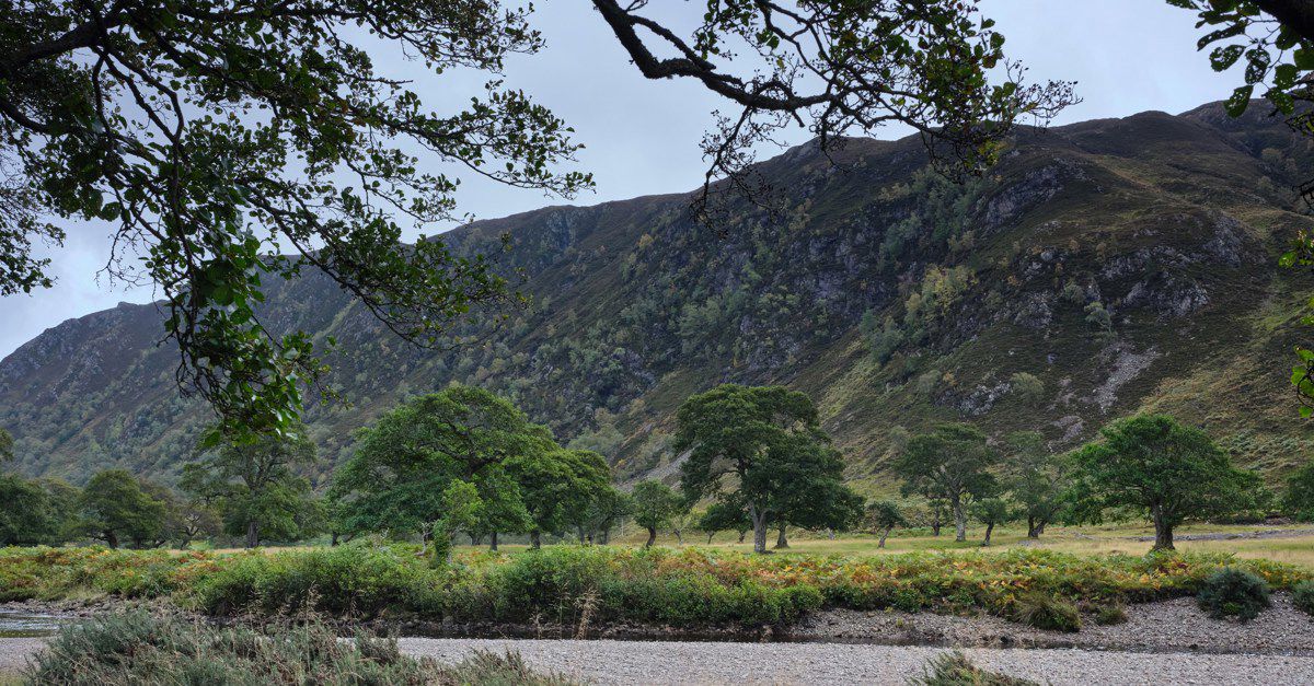 5 Muir of Ord campsites Best camping in Muir of Ord, Highlands