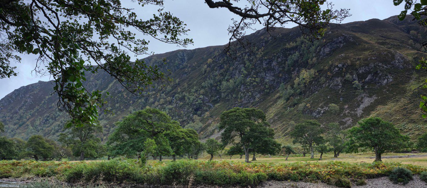 Muir of Ord campsites Best camping in Muir of Ord, Highlands