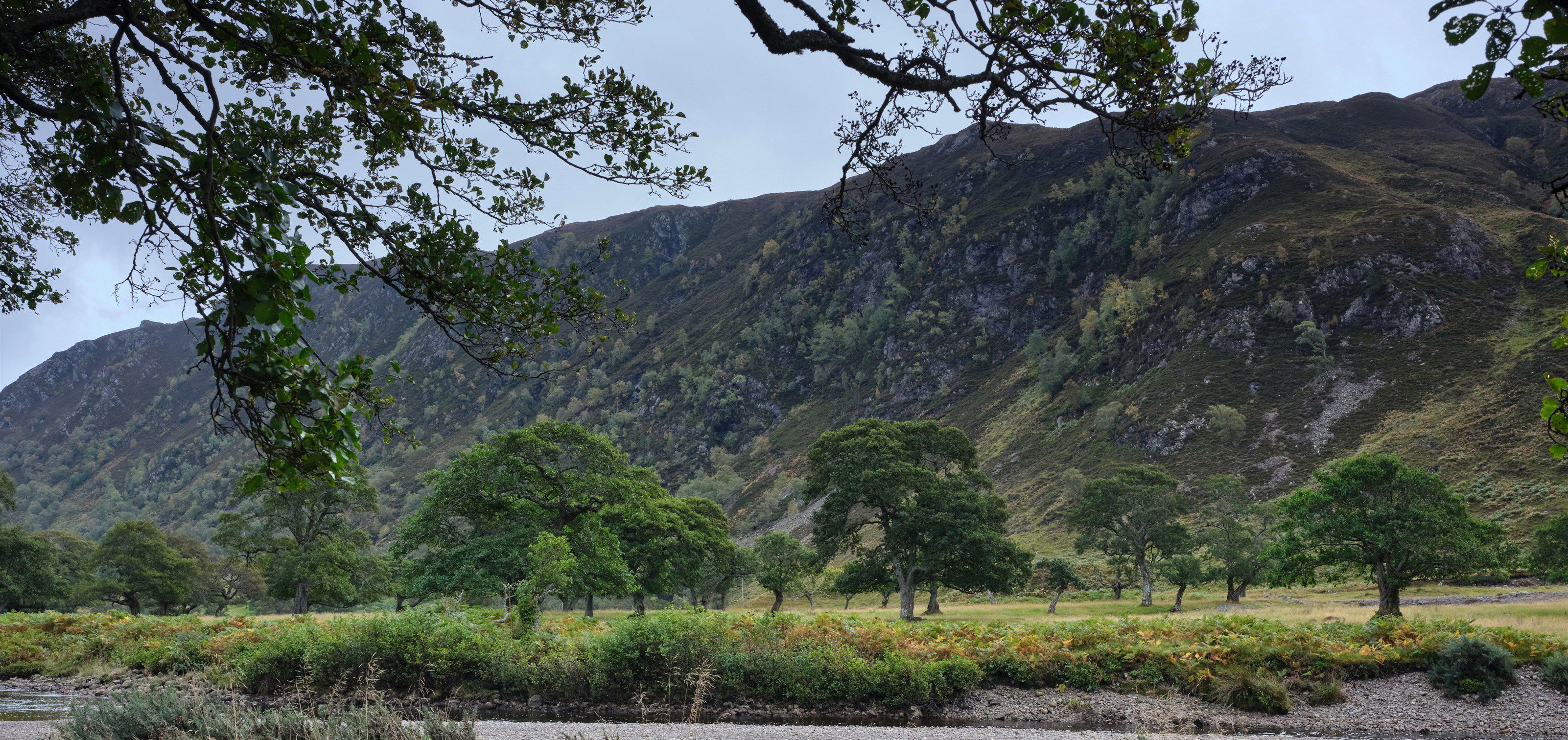 Caravan parks in the Muir Of Ord, Highlands