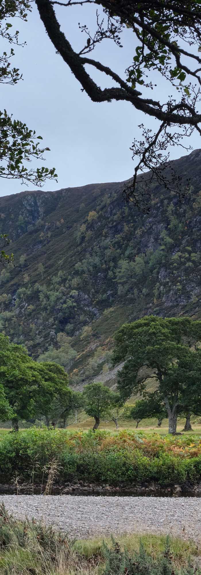 5 Muir of Ord campsites Best camping in Muir of Ord, Highlands