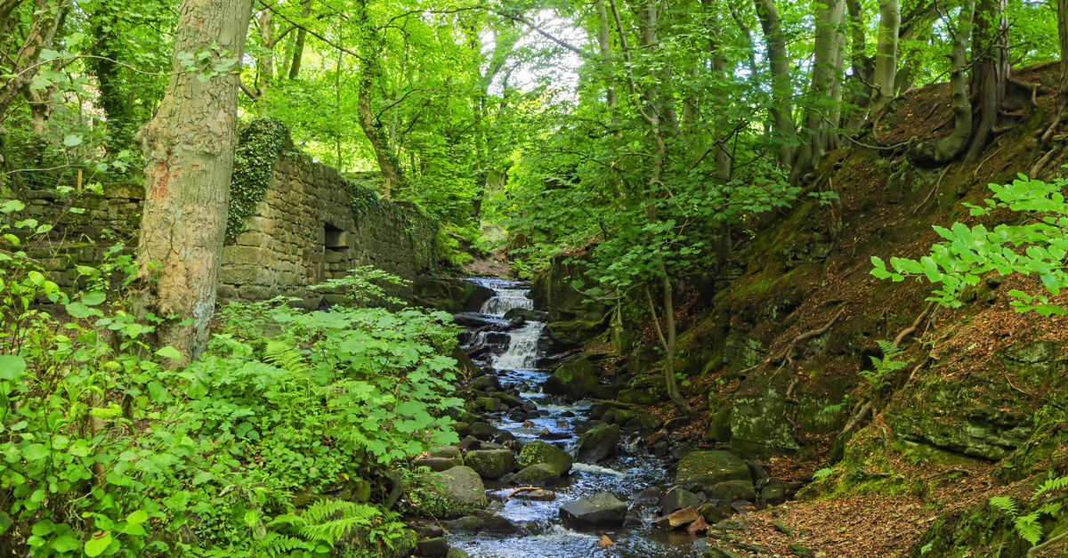 Campsites with swimming pools in Tansley, Derbyshire & Peak District