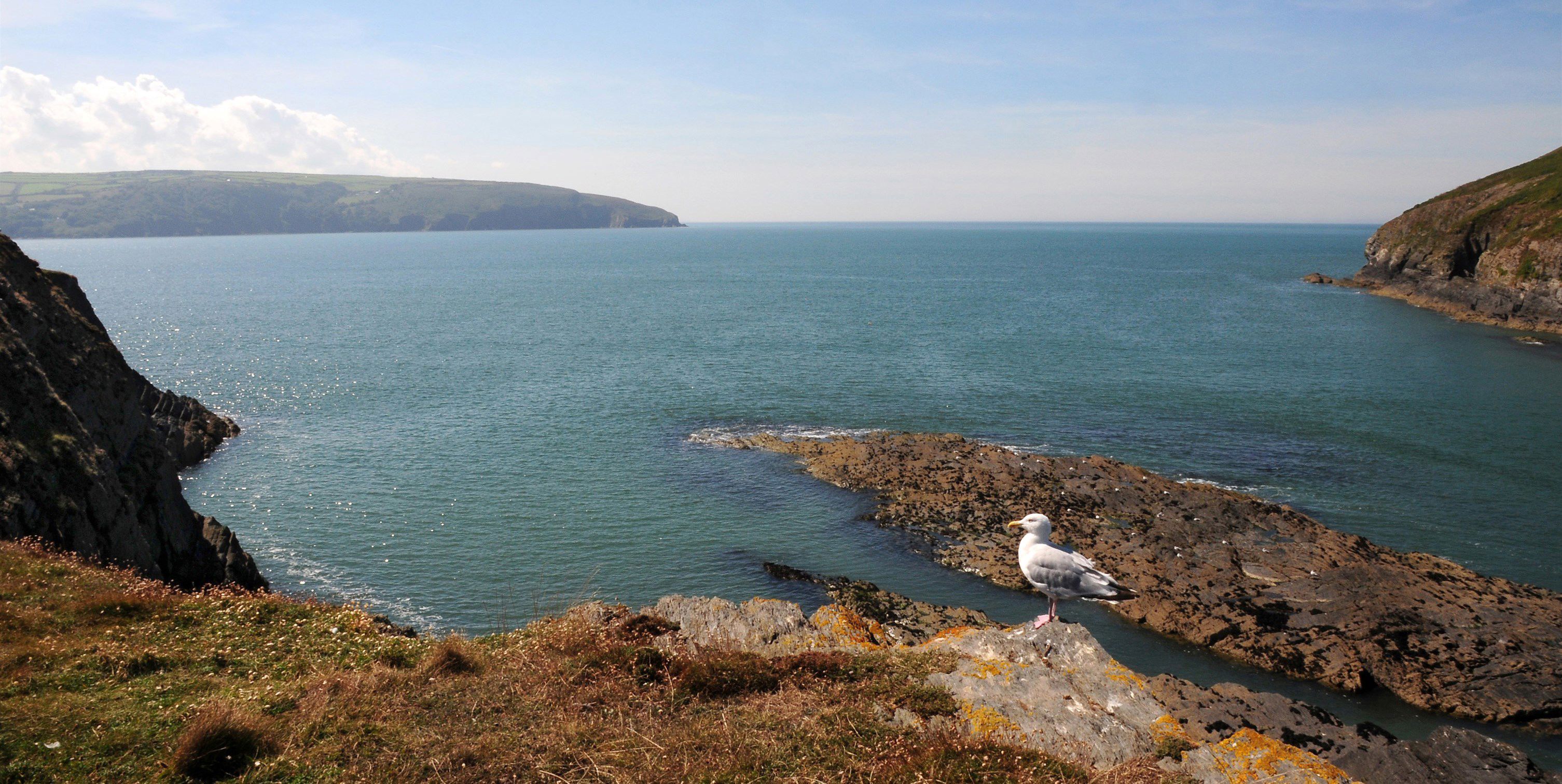 gwbert beach