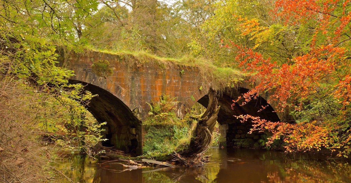 4 Bellshill campsites Best camping in Bellshill, Glasgow and the