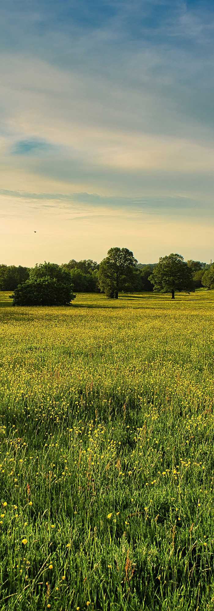 5 Radlett campsites Best camping in Radlett, Hertfordshire