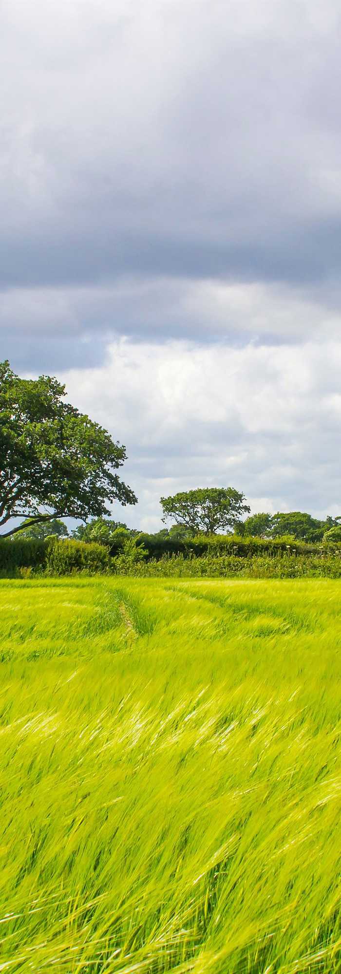 25+ Sway campsites Best camping in Sway, Hampshire