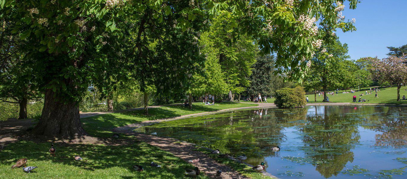 25+ Colchester campsites the best camping sites in Colchester