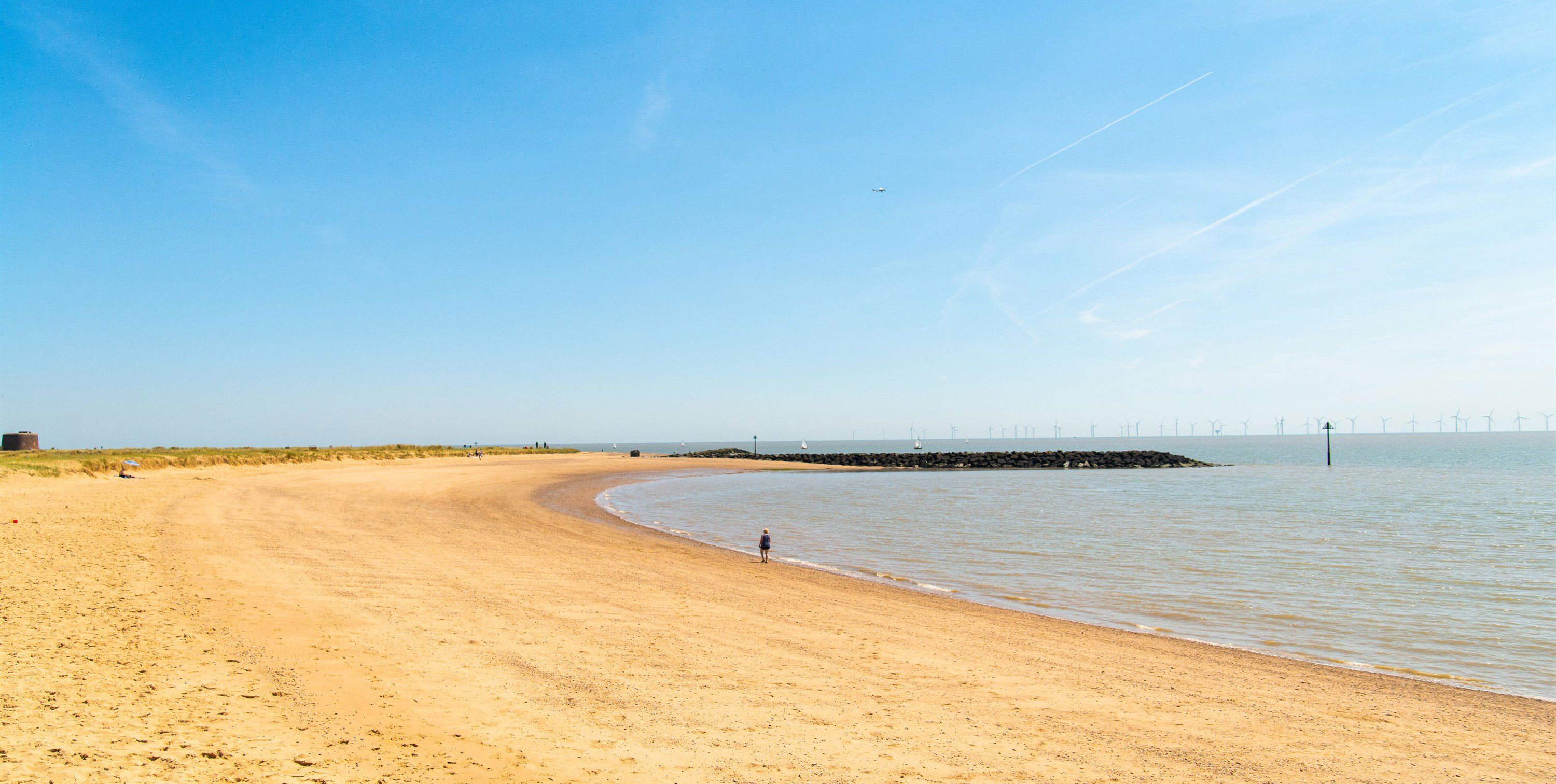 does clacton beach allow dogs