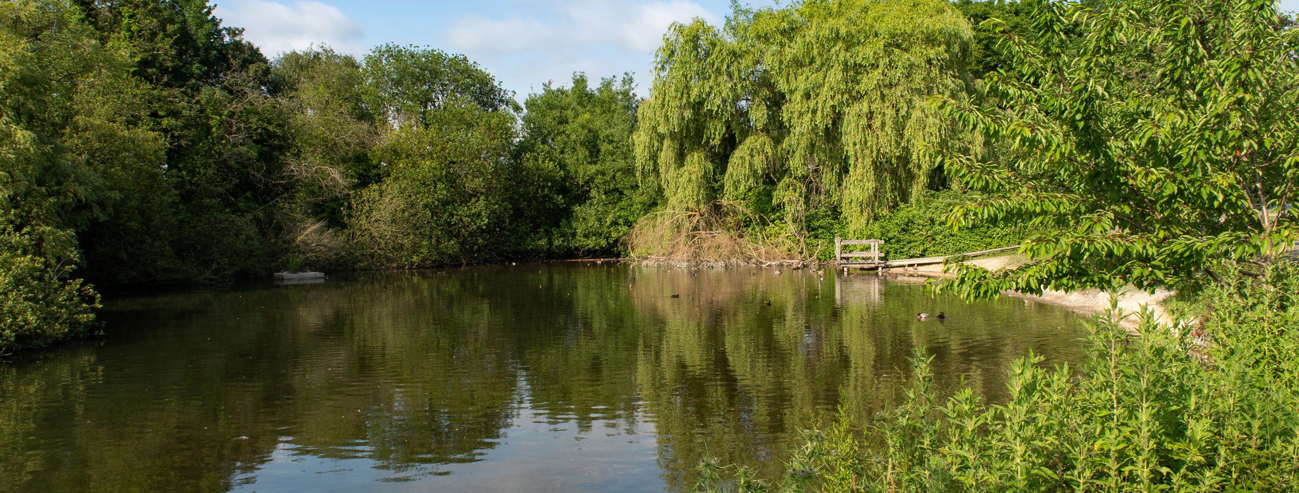 6 Basingstoke campsites Best camping in Basingstoke, Hampshire