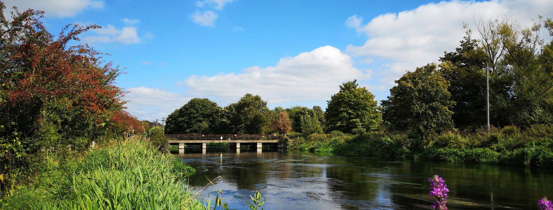 35+ Ringwood campsites Best camping in Ringwood, Hampshire