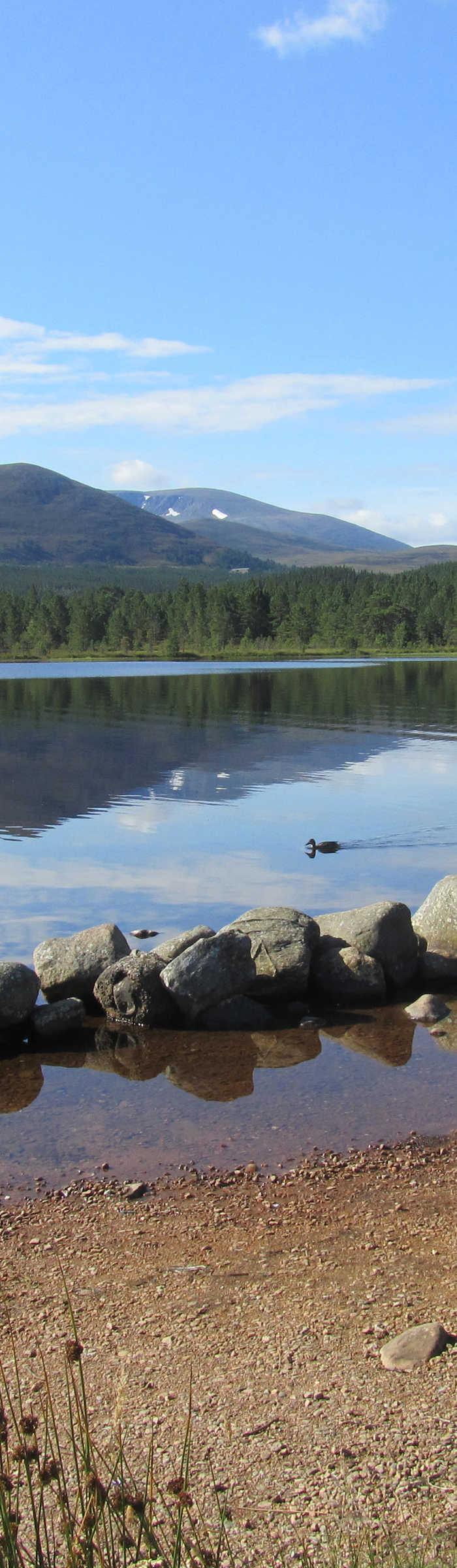 3 Aviemore campsites Best camping in Aviemore, Highlands